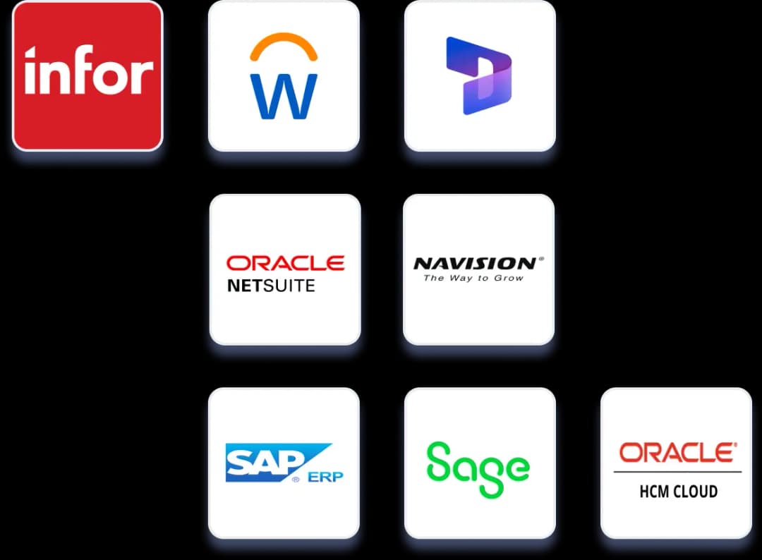 Enterprise Resource Planning (ERP) Systems